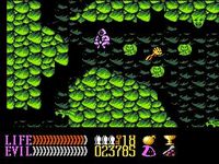 Wizards and Warriors 3, capture d'écran